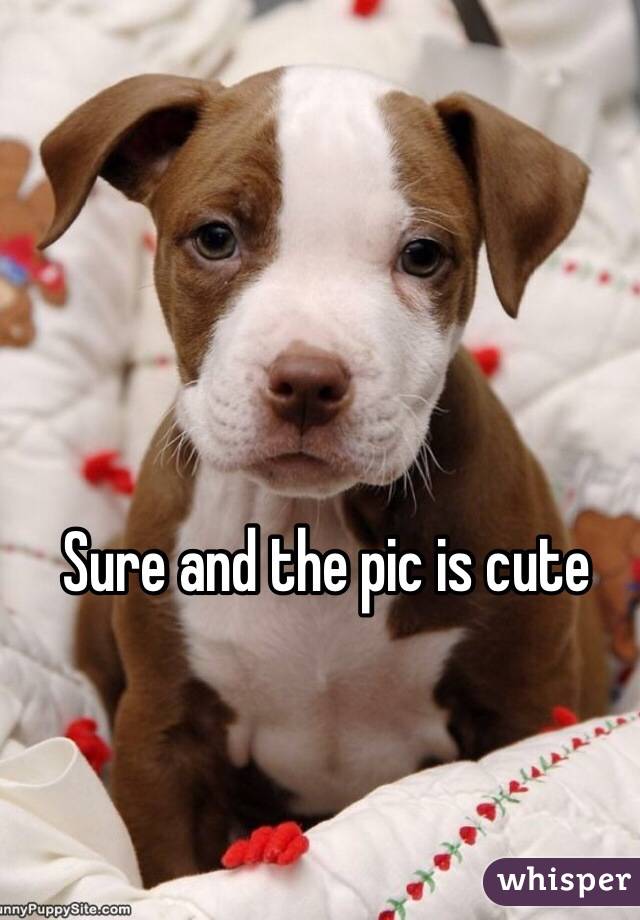 Sure and the pic is cute 