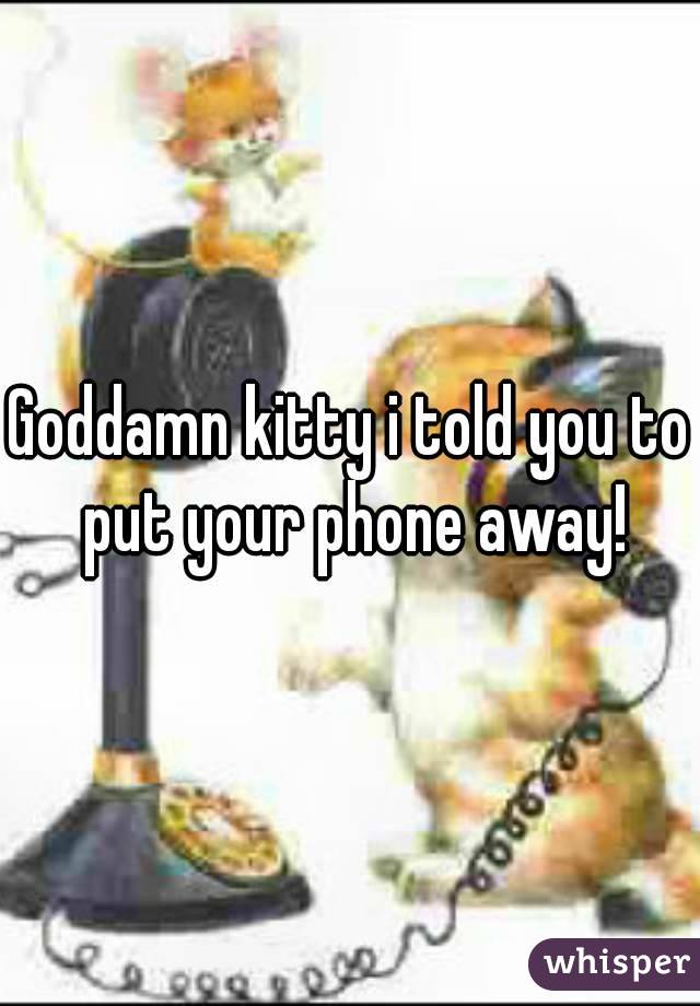 Goddamn kitty i told you to put your phone away!