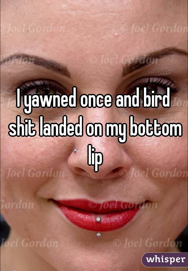 I yawned once and bird shit landed on my bottom lip