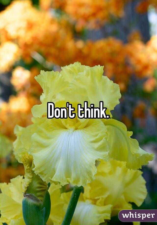 Don't think.