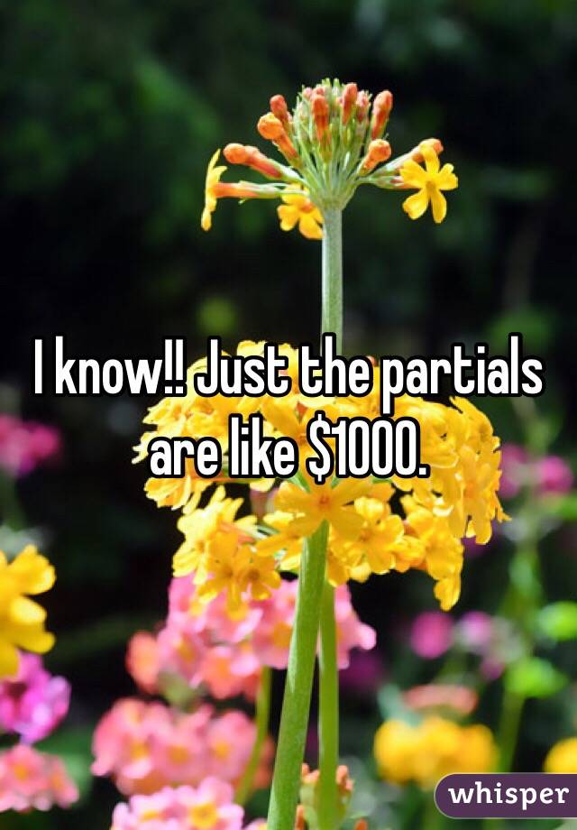 I know!! Just the partials are like $1000. 