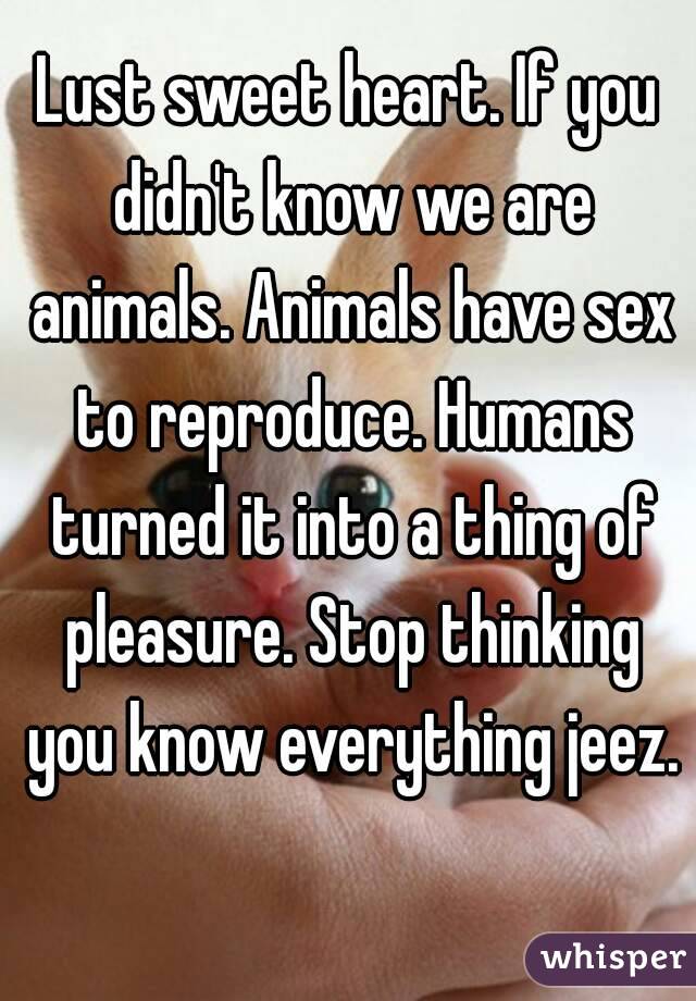 Lust sweet heart. If you didn't know we are animals. Animals have sex to reproduce. Humans turned it into a thing of pleasure. Stop thinking you know everything jeez. 