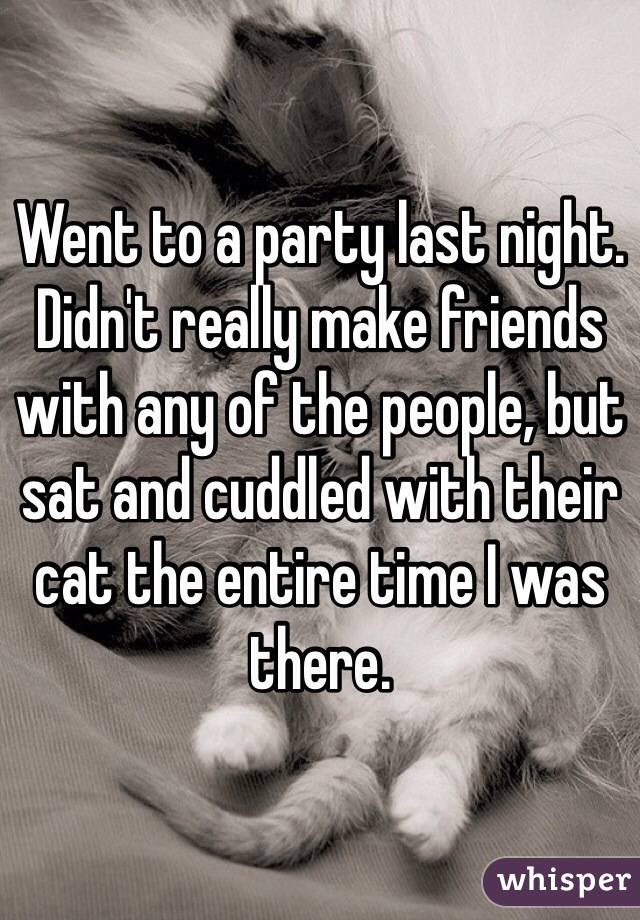 Went to a party last night. Didn't really make friends with any of the people, but sat and cuddled with their cat the entire time I was there. 