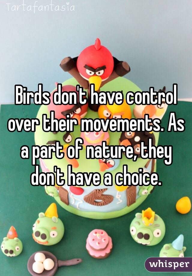 Birds don't have control over their movements. As a part of nature, they don't have a choice. 