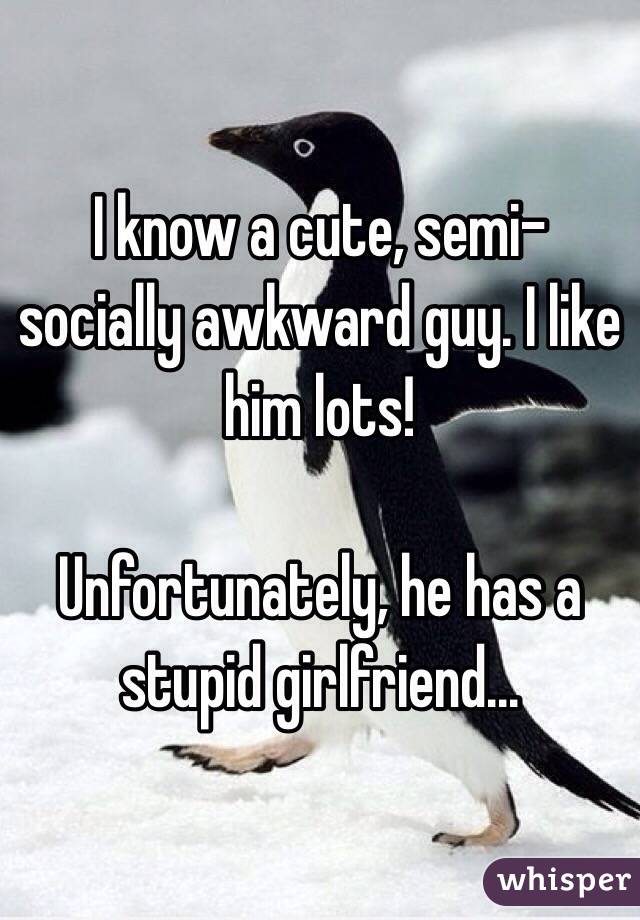 I know a cute, semi-socially awkward guy. I like him lots!

Unfortunately, he has a stupid girlfriend...