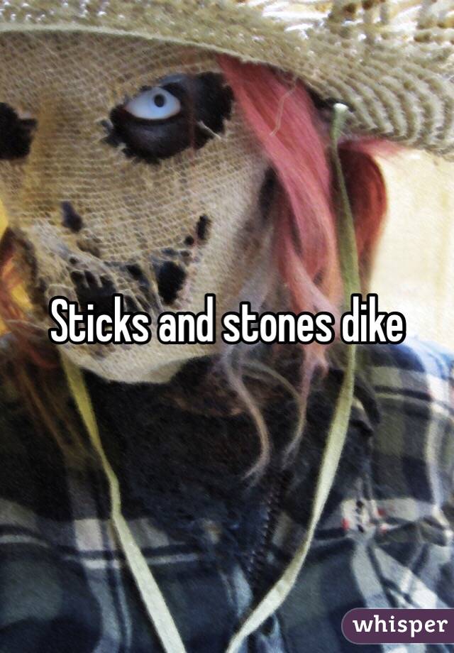 Sticks and stones dike