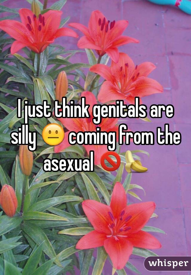 I just think genitals are silly 😐 coming from the asexual 🚫🍌
