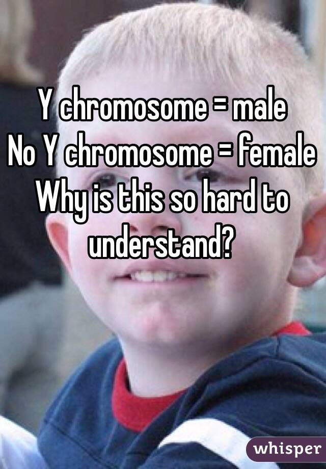 Y chromosome = male
No Y chromosome = female
Why is this so hard to understand?