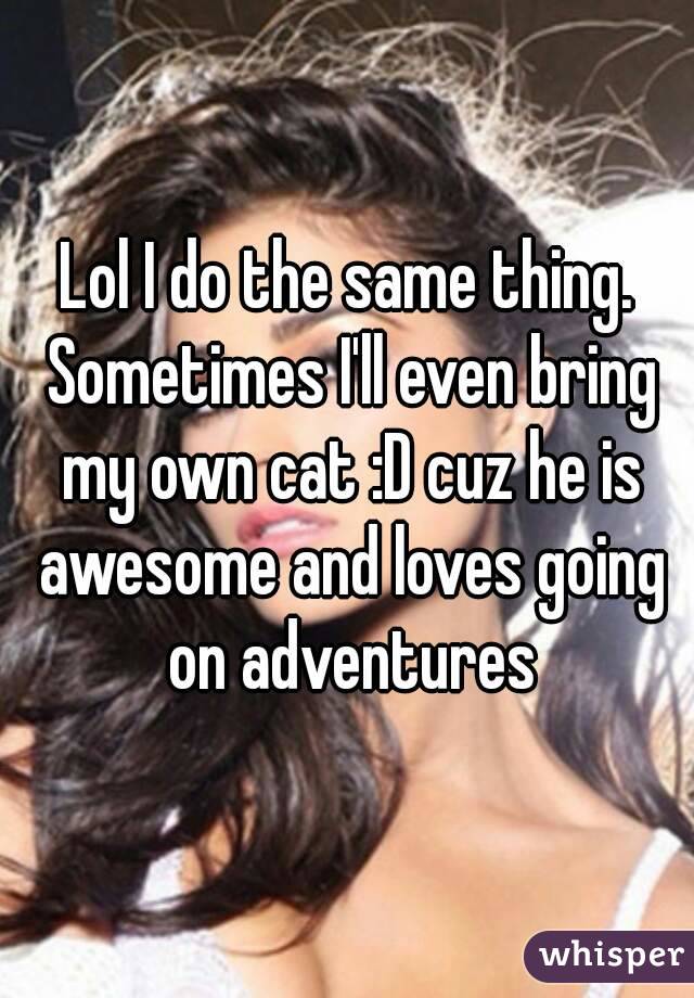 Lol I do the same thing. Sometimes I'll even bring my own cat :D cuz he is awesome and loves going on adventures