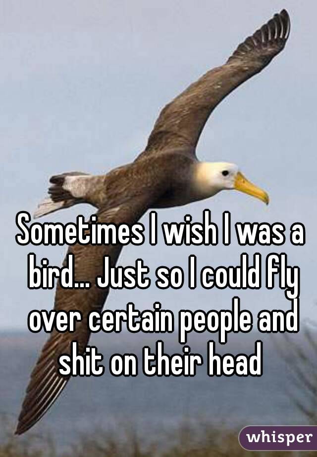 Sometimes I wish I was a bird... Just so I could fly over certain people and shit on their head 