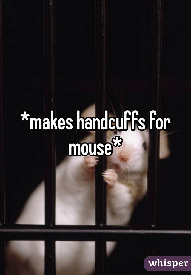 *makes handcuffs for mouse*