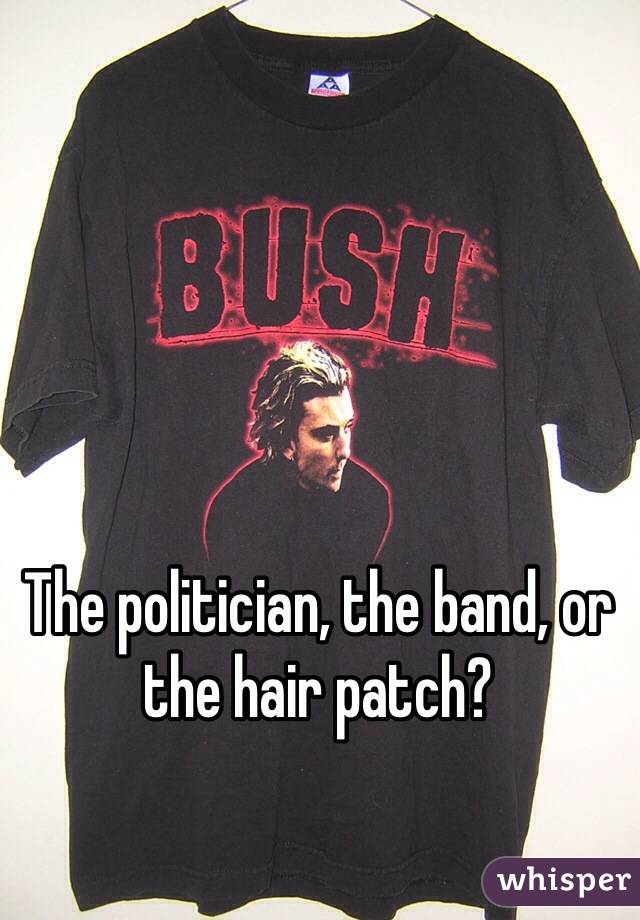 The politician, the band, or the hair patch?