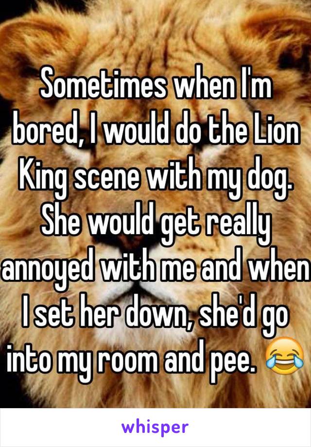Sometimes when I'm bored, I would do the Lion King scene with my dog. She would get really annoyed with me and when I set her down, she'd go into my room and pee. 😂
