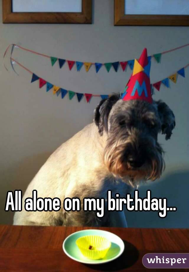 All alone on my birthday... 