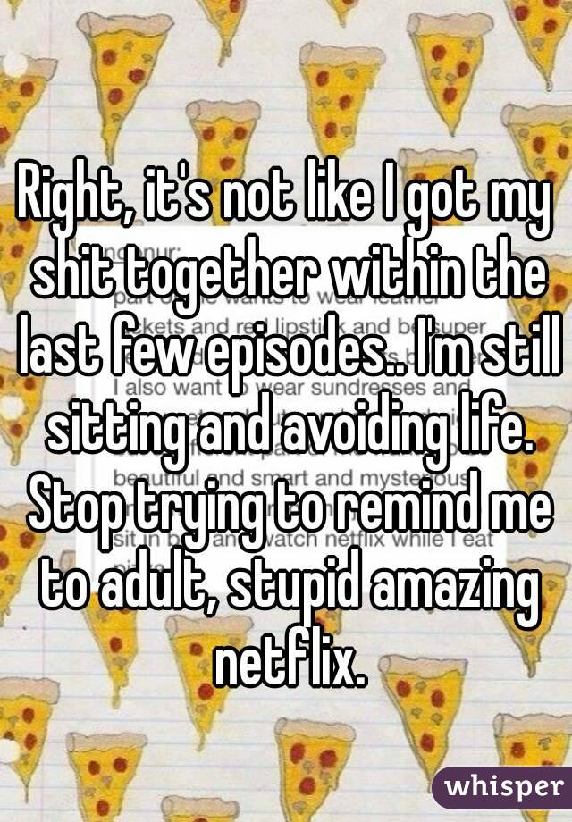 Right, it's not like I got my shit together within the last few episodes.. I'm still sitting and avoiding life. Stop trying to remind me to adult, stupid amazing netflix.