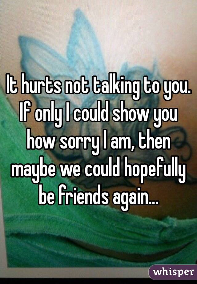 It hurts not talking to you. If only I could show you how sorry I am, then maybe we could hopefully be friends again...