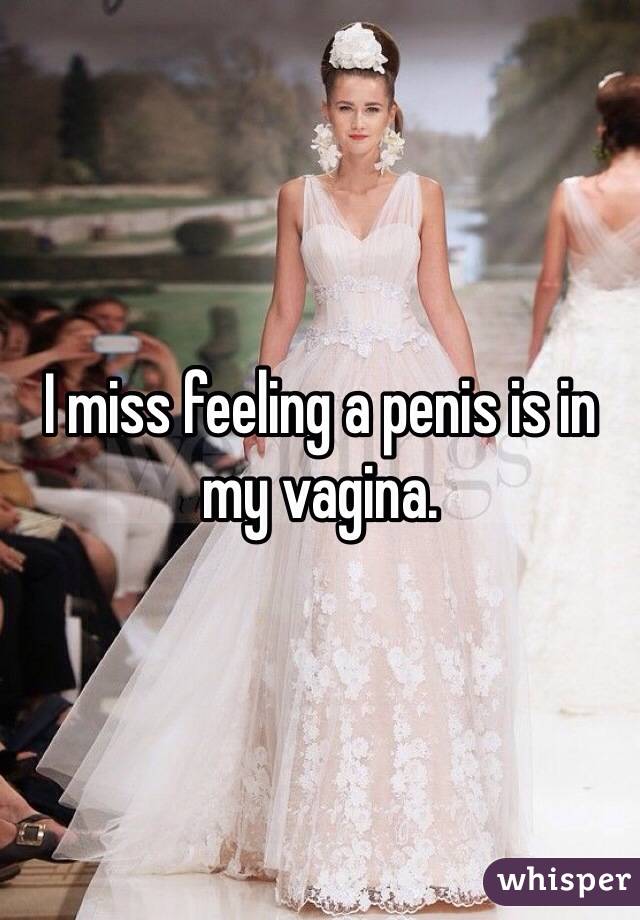 I miss feeling a penis is in my vagina.