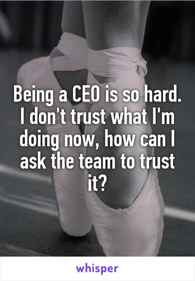 Being a CEO is so hard. I don't trust what I'm doing now, how can I ask the team to trust it?