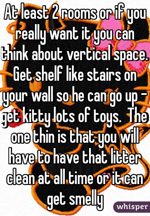 At least 2 rooms or if you really want it you can think about vertical space.   Get shelf like stairs on your wall so he can go up -get kitty lots of toys.  The one thin is that you will have to have that litter clean at all time or it can get smelly