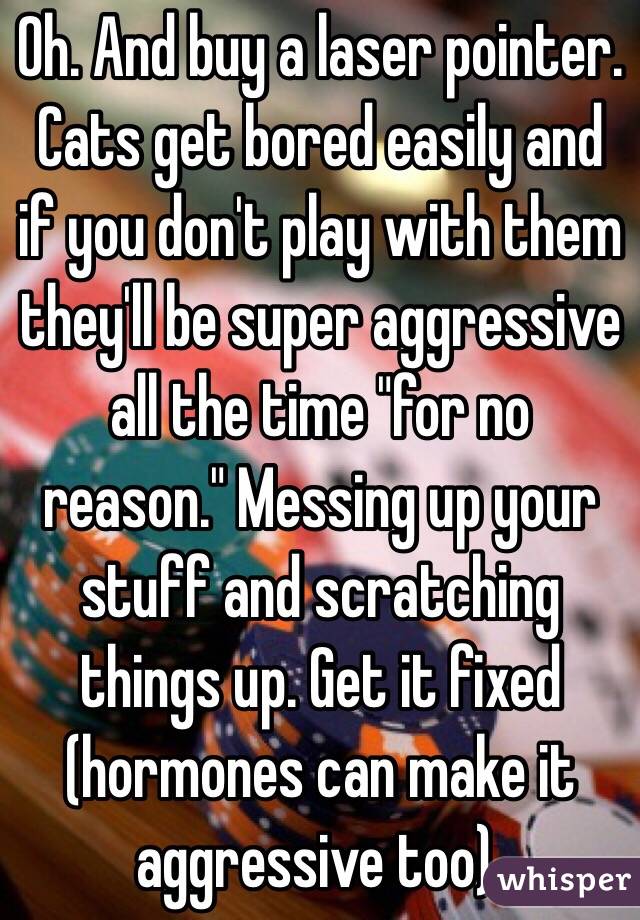 Oh. And buy a laser pointer. Cats get bored easily and if you don't play with them they'll be super aggressive all the time "for no reason." Messing up your stuff and scratching things up. Get it fixed (hormones can make it aggressive too). 