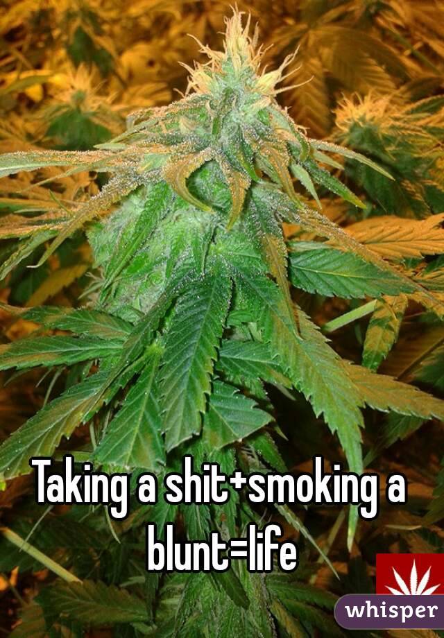 Taking a shit+smoking a blunt=life