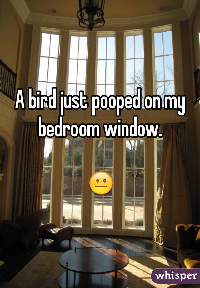 A bird just pooped on my bedroom window. 

😐