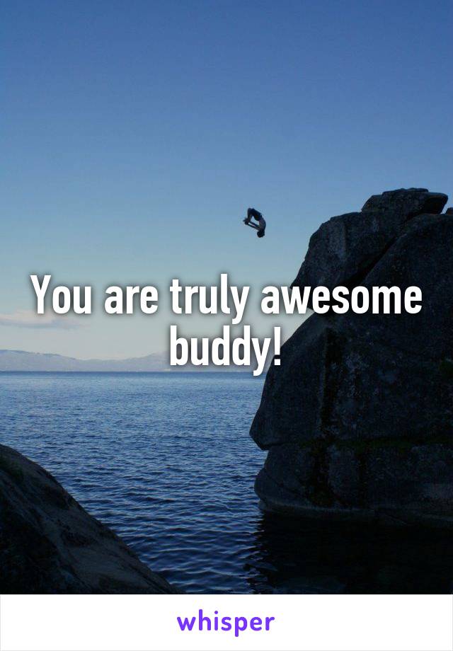 You are truly awesome buddy!