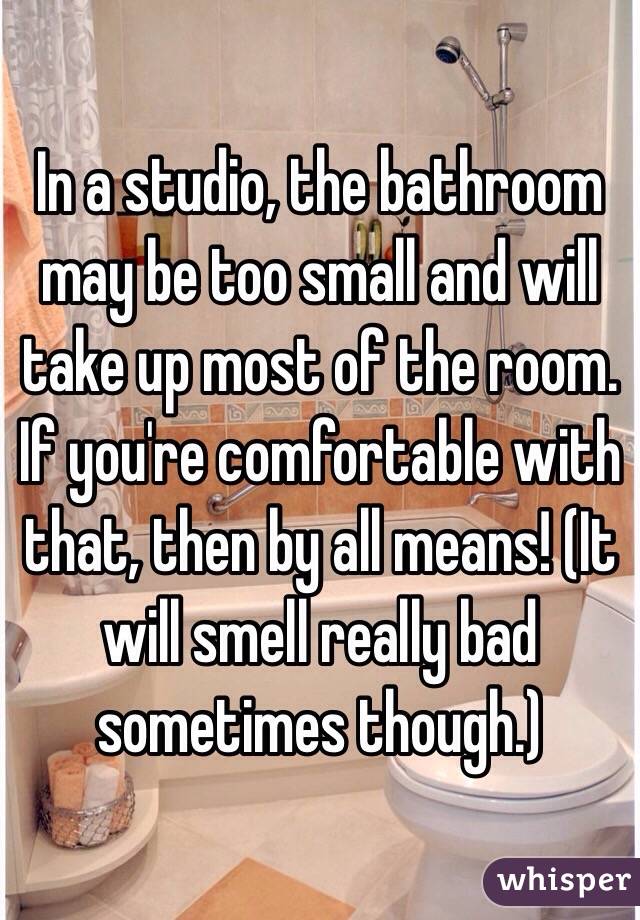 In a studio, the bathroom may be too small and will take up most of the room. If you're comfortable with that, then by all means! (It will smell really bad sometimes though.)