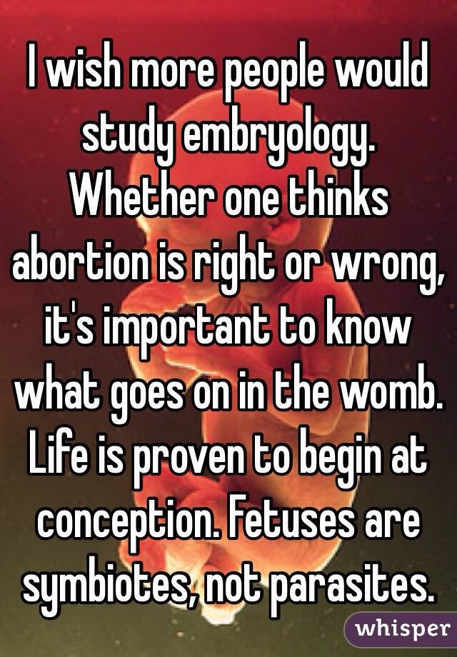 abortion right or wrong