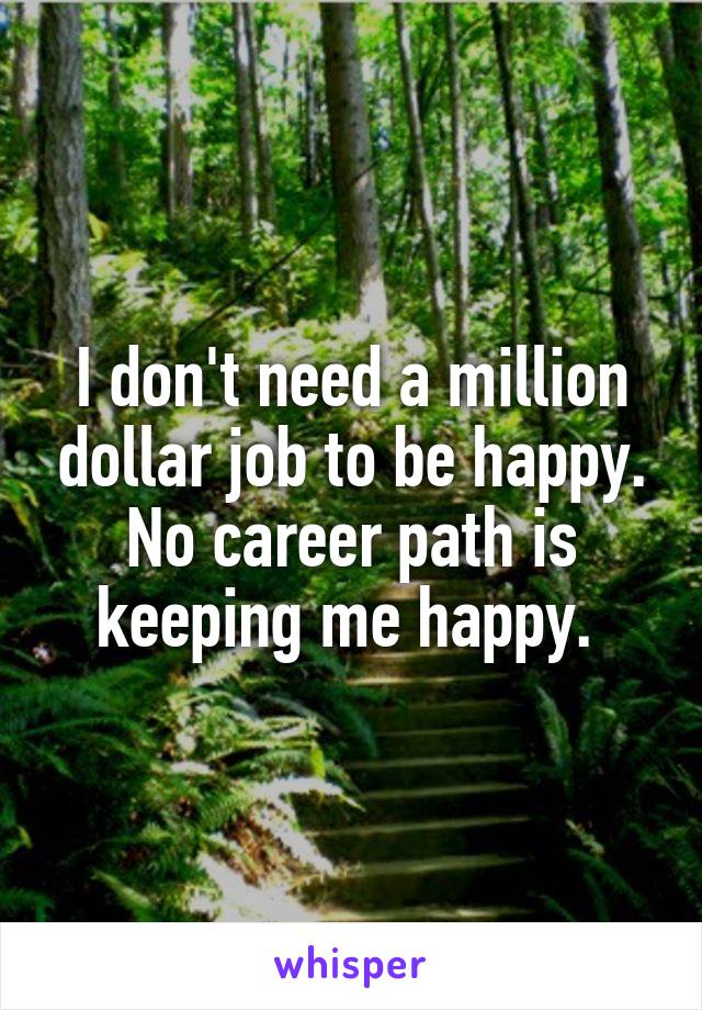 I don't need a million dollar job to be happy. No career path is keeping me happy. 