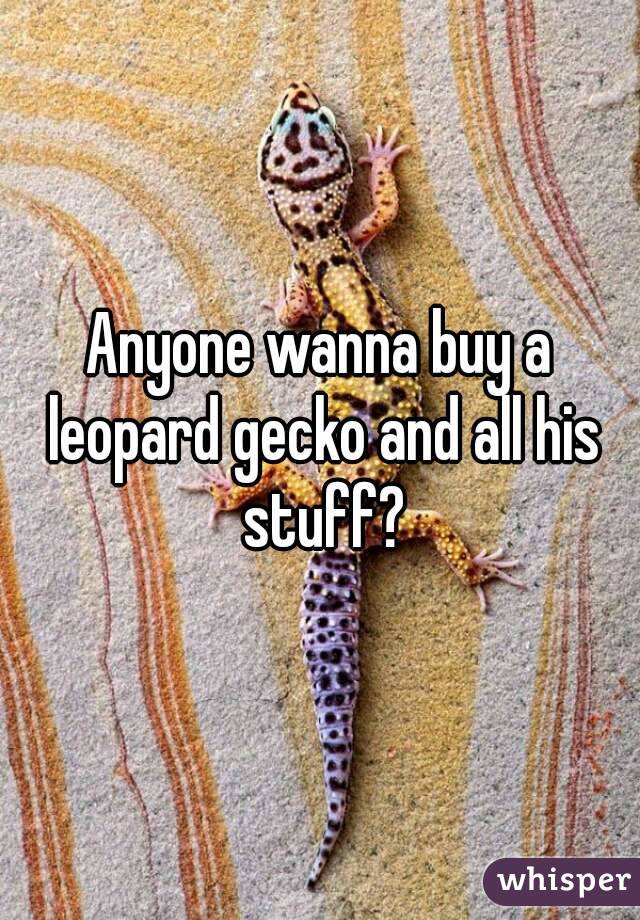 Anyone wanna buy a leopard gecko and all his stuff?