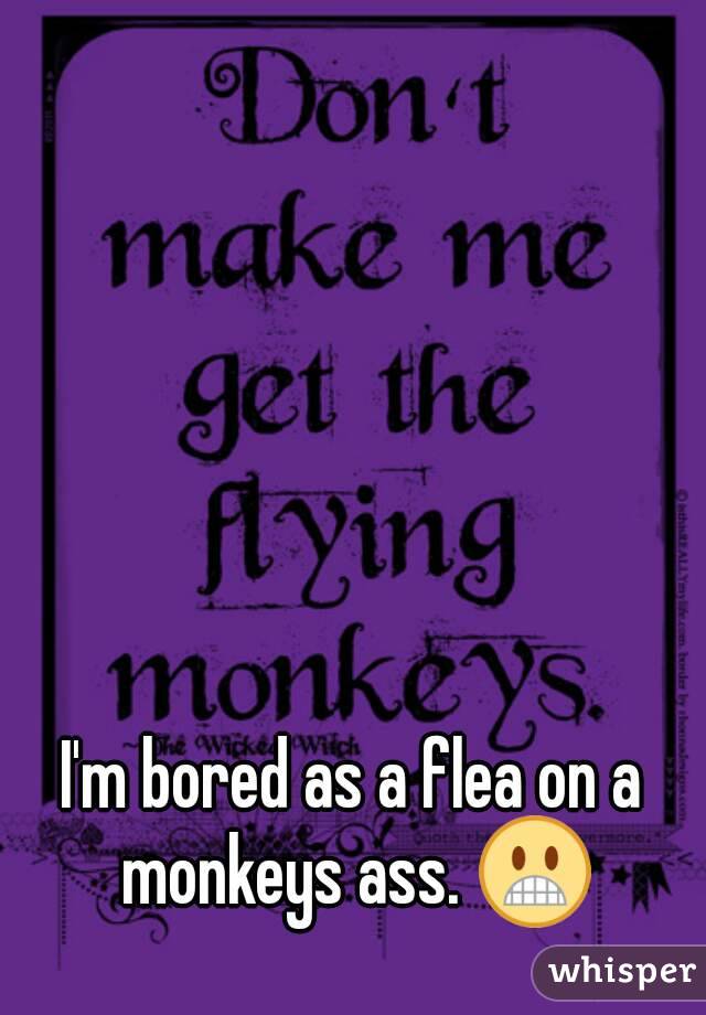 I'm bored as a flea on a monkeys ass. 😬
