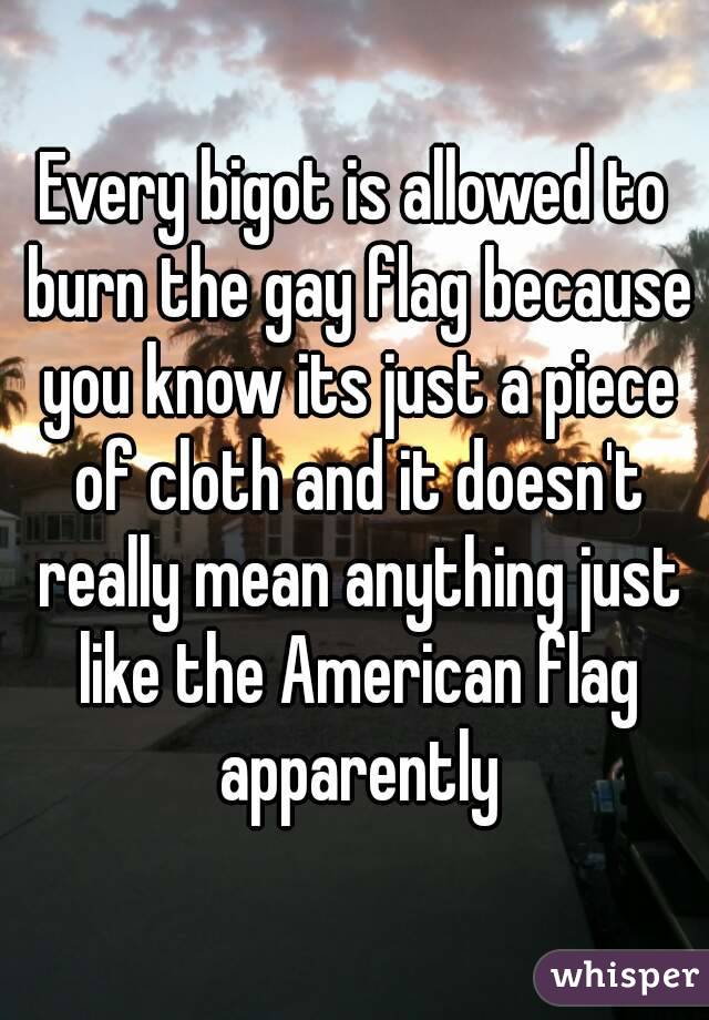 Every bigot is allowed to burn the gay flag because you know its just a piece of cloth and it doesn't really mean anything just like the American flag apparently