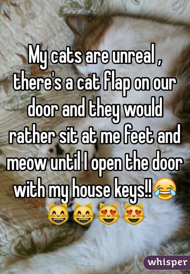 My cats are unreal , there's a cat flap on our door and they would rather sit at me feet and meow until I open the door with my house keys!!😂😸😸😻😻