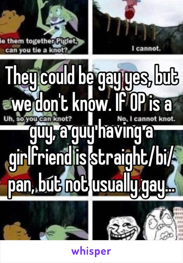 They could be gay yes, but we don't know. If OP is a guy, a guy having a girlfriend is straight/bi/pan, but not usually gay...