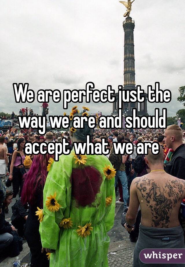 We are perfect just the way we are and should accept what we are 