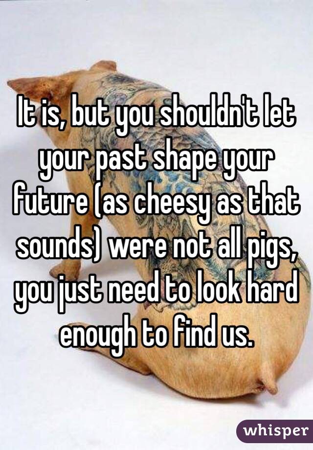 It is, but you shouldn't let your past shape your future (as cheesy as that sounds) were not all pigs, you just need to look hard enough to find us.