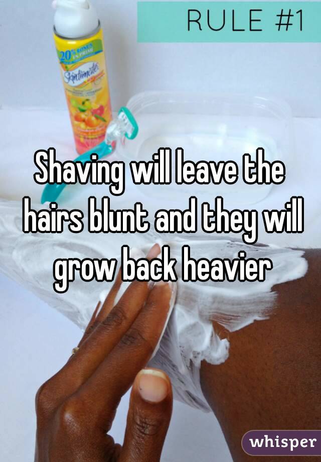 Shaving will leave the hairs blunt and they will grow back heavier