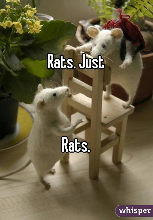 Rats. Just
 


Rats.