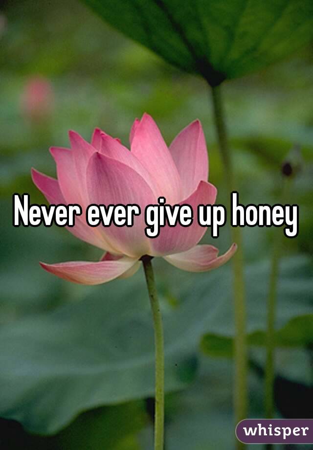 Never ever give up honey