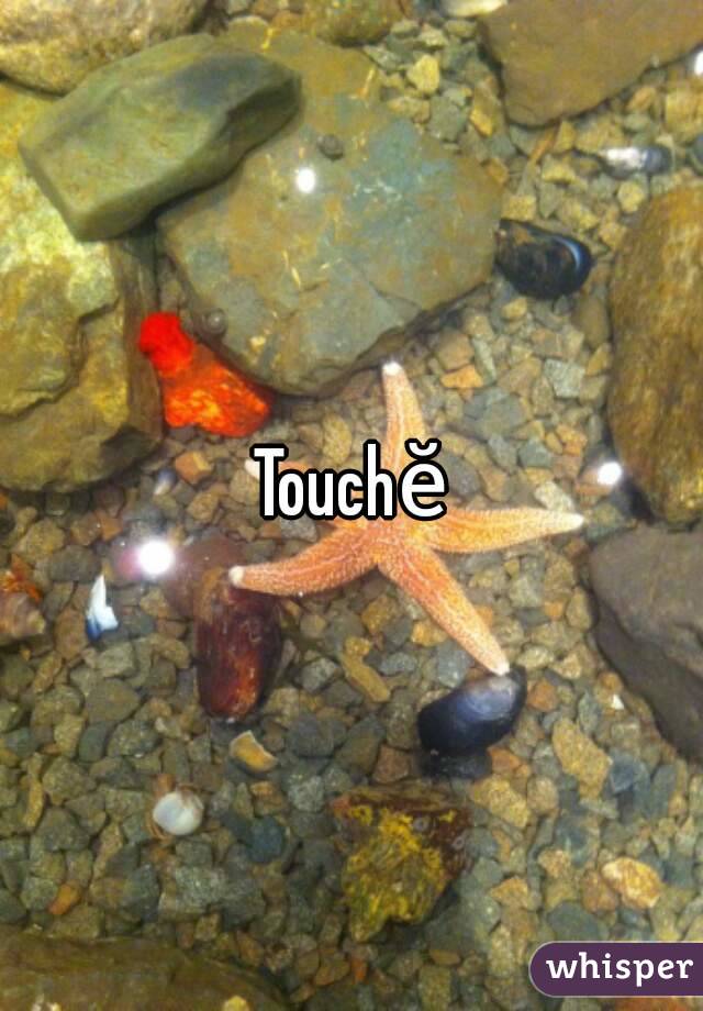 Touchĕ