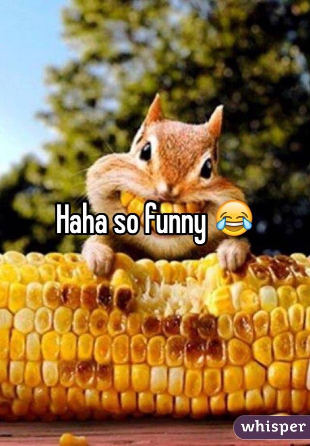 Haha so funny 😂