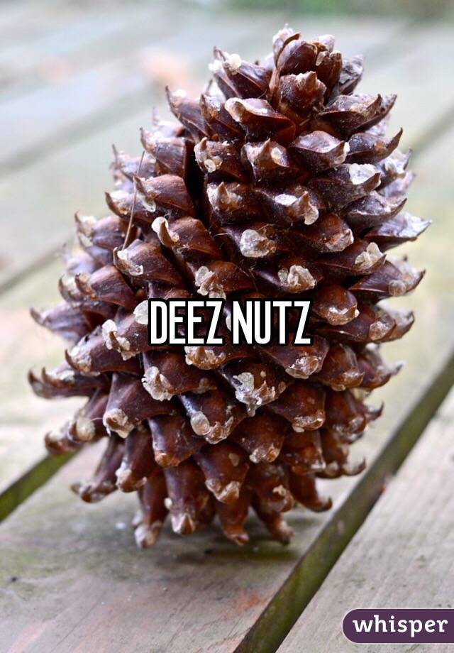 DEEZ NUTZ 