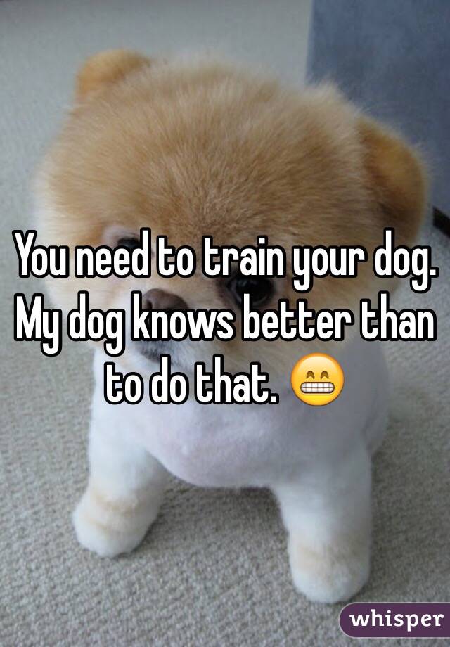 You need to train your dog. 
My dog knows better than to do that. 😁