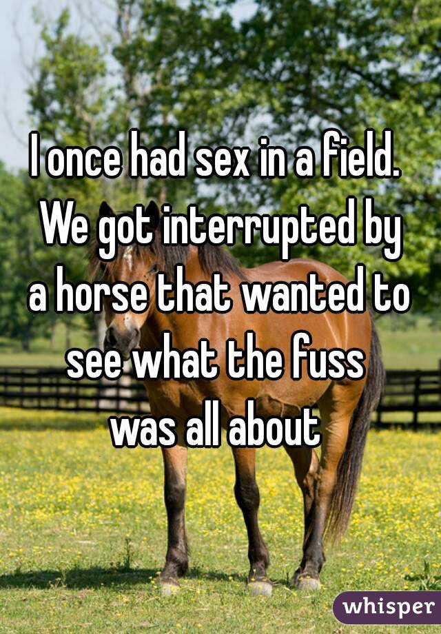 I once had sex in a field. We got interrupted by
 a horse that wanted to see what the fuss 
was all about