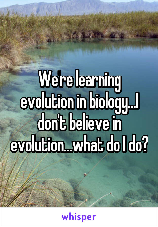We're learning evolution in biology...I don't believe in evolution...what do I do?