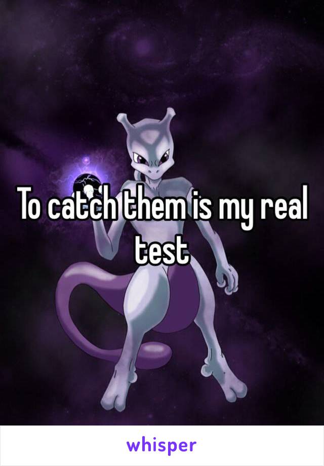 To catch them is my real test 