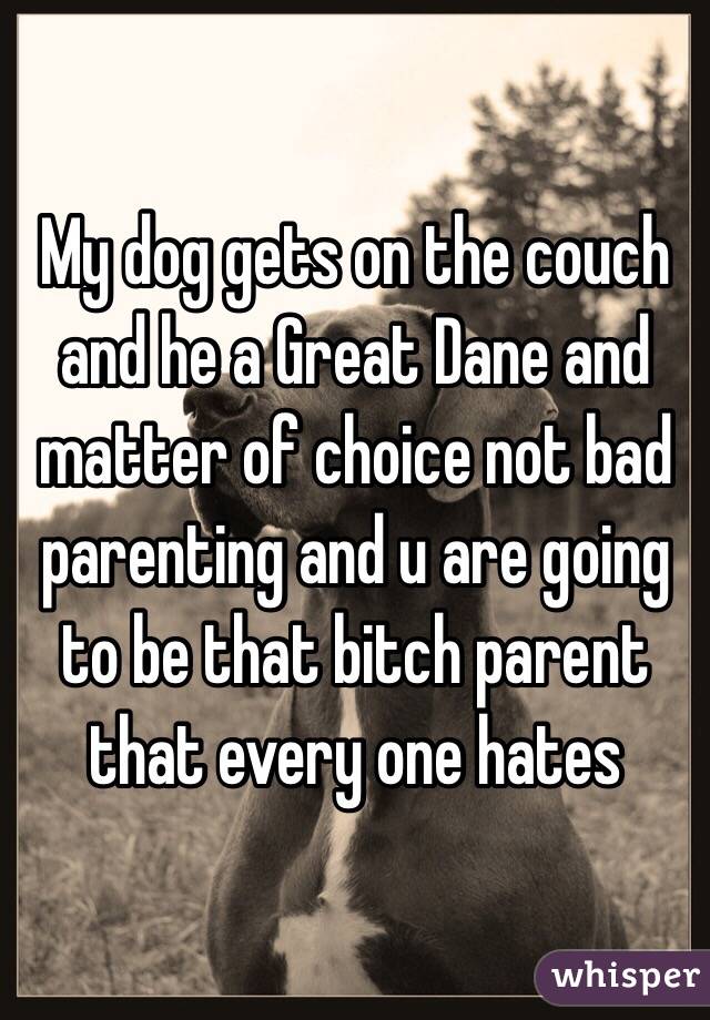 My dog gets on the couch and he a Great Dane and matter of choice not bad parenting and u are going to be that bitch parent that every one hates