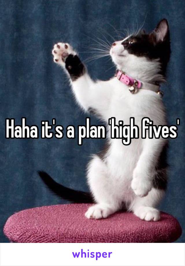 Haha it's a plan 'high fives' 