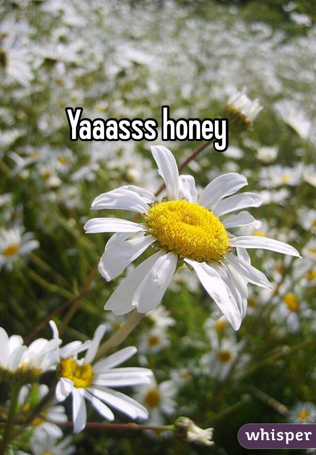 Yaaasss honey